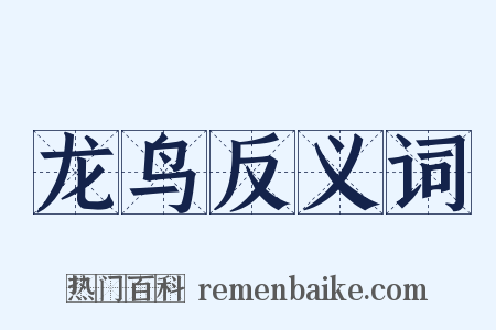 龙鸟反义词是什么意思的图片